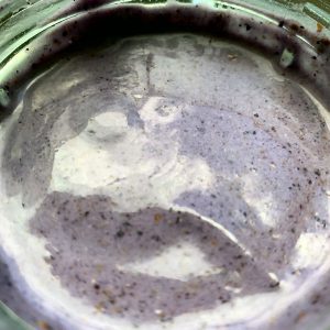 blueberryvanillasmoothie-800