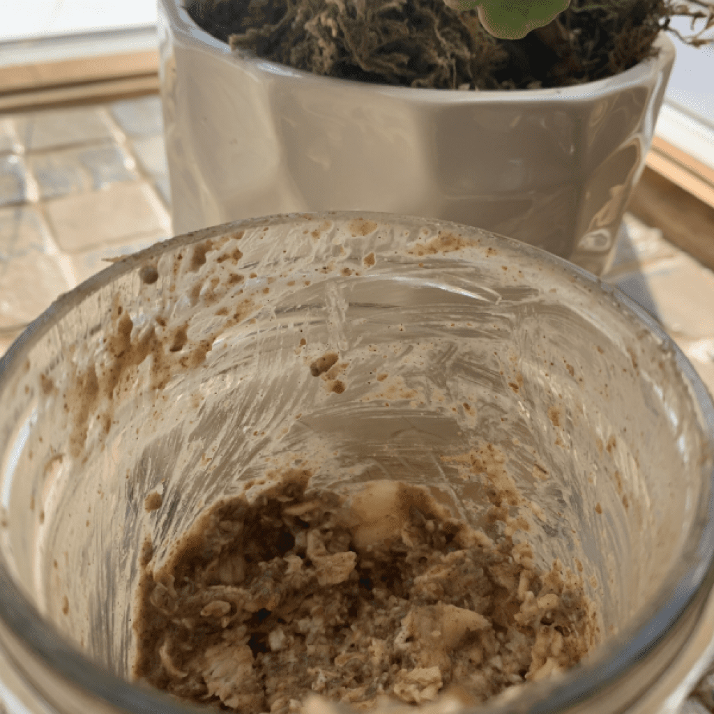 What's Christi Cooking Monday: How to Naturally Sweeten Overnight Oats Hack