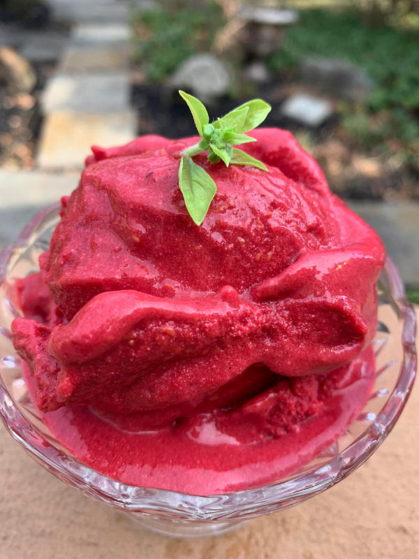 Raspberry Coconut Sorbet