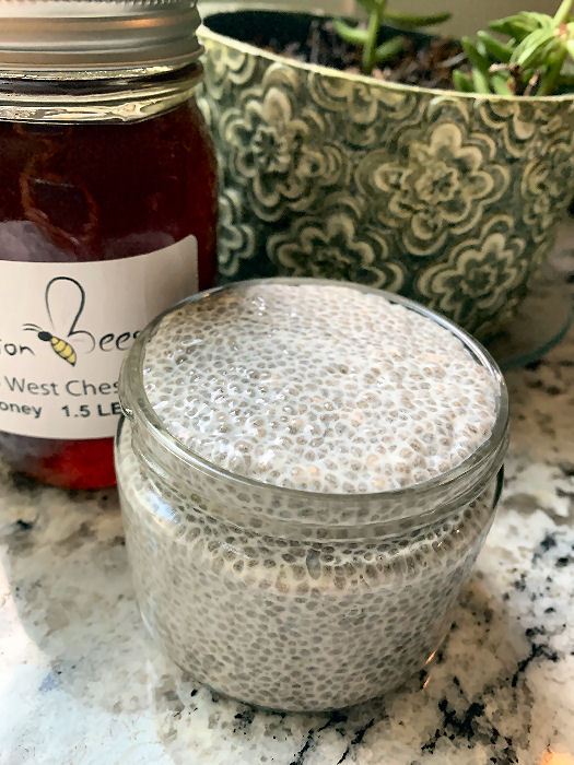 Chia Seed Pudding Base Recipe