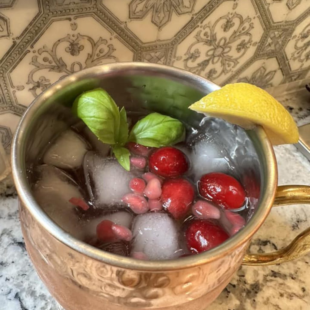 Cranberry Pomegranate Spritzer Mocktail Recipe
