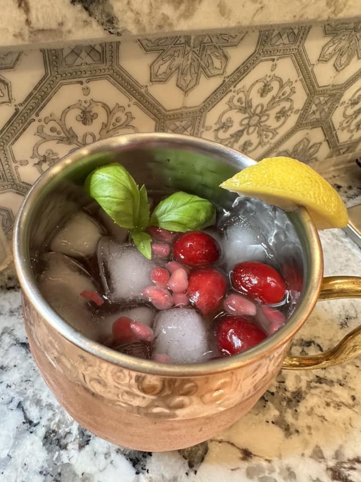 Cranberry Pomegranate Spritzer Mocktail Recipe